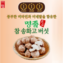 버섯 송화버섯 송고버섯 송화고버섯 화고버섯 참송화고버섯, 1팩