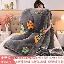 겨울 이불 차렵 이부자리 극세사 캐시미어 10 양면 벨벳 이중 두꺼운 따뜻한 단일 학생