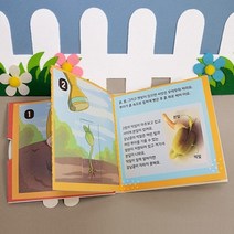 강낭콩 한살이 식물기르기 책만들기 4개 방학숙제 동화책
