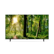 [엘지전자(가전)] ○[1등급][65] LG 울트라 HD TV 163CM (65UR9300, 형태:벽걸이