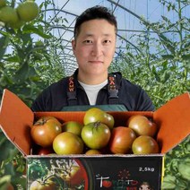 셔리푸드 부산 농협인증 대저 짭짤이 토마토 짭짜리 산지직송 고당도 무농약 인증, [선택1] 대저 토마토 2.5kg