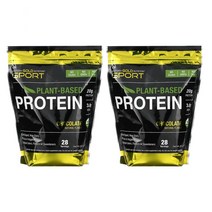 California Gold Nutrition CGN 캘리포니아 골드 뉴트리션 초콜릿향 식물성 기반 단백질 보충제 907g (2lb)