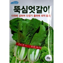 (씨앗) 뚝심 엇갈이배추 - 더위에 강한 얼갈이배추 나물배추 풋배추 씨앗 - 소포장 - 20g