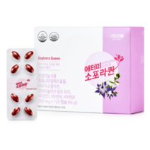 애터미 소포라퀸 120캡슐 (1개월분)