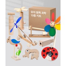 (다르담) 과학키트 원목교구 10종 세트