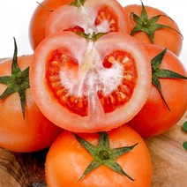 스테비아 토마토 1kg