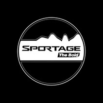 D21 스포티지더볼드 매립형 LED 도어라이트 2개한세트-735056NH, 딜라이트몰 본상품선택, 딜라이트몰 본상품선택