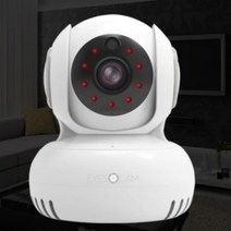화재 감지 가정용 시시티비 집안 강아지 펫 원룸 매장용 CCTV 카메라 음성인식 야간캠, 아이즈캠+64GB 호환 메모리