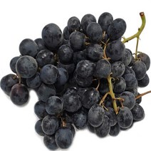 FUNET 씨없는 청포도 거봉, 1박스, 51_국산 캠벨 포도 1kg
