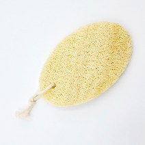 천연 식물 수세미 열매 놋그릇 세척 이유식 유기 그릇 요술 헹굼 거품잘나는 수입 인덕션 설겆이 솔 설거지 무흠집 생수세미 후라이팬 세척 브러쉬 선물 답례품 스크럽