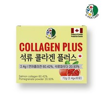 캐나다 석류 콜라겐 스틱 분말 먹는 엘라스틴 히알루론산 석류 엘라그산 석류즙 폴리페놀 수용성 저분자 피쉬콜라겐 펩타이드 비타민C 자일리톨 석류 스틱 엄마 생신 생일 선물 추천, 30포(1개월분)