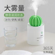 귀여운 미니 선인장 가습기 소형 미니 탁상용 휴대용 사무실 가정용 수면 캠핑 감성 무드등 전구 학생방 아이방 침실 조명 이동형, B.선인장 가습기-화이트