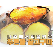철야마루 푸른뜰고구마 못난이, 1개