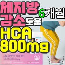 식약처 인증 인정 프로바이오틱스 17종 HCA 800mg 가르시니아 캄보지아 추출물 체지방 다이어트 cut 감소 장 건강 도움 슬림 body 바디 100억 유산균 식 약 처 허가, 6개월