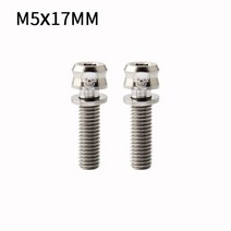 픽시 스템 Muqzi 자전거 나사 Mtb 줄기 티타늄 합금 M5 * 15 17 19 다리 전원 병 홀더 볼트 컬러 테이블 케, 16 2pcs M5-17 Silver
