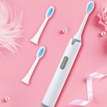 엔템 전동 칫솔 초음파 음파 자동칫솔, 색상랜덤(리필솔5개)