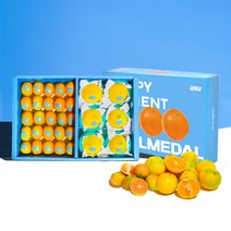 [추석선물] 제주 산지직송 감귤 황금향 선물세트 반반세트, 귤+황금향(종합선물세트), 2kg