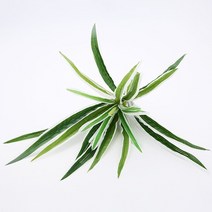 조경용품 화분팻말 호박돌 실내조경 바람개비 인공 식물 꽃 녹색 잎 diy 식물 벽 액세서리 웨딩 홈 정원 장식 사진 소품, 디아올란 화이트 그린