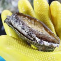 두팜 3~4년산 완도 대전복 1kg (11~13마리 내외), 12미 전복 1kg(일반포장)