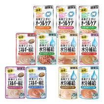 아이시아 건강캔파우치 40g x 12개 고양이 간식, 1개, 수분보충 참치
