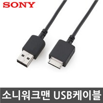 3COM 소니 워크맨 NW-ZX1/NW-ZX2 전용 USB케이블, 1개, 100cm