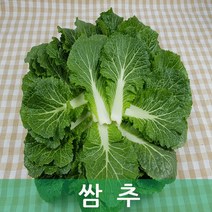 쌈추 2kg 박스 발품장터