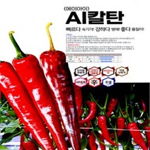 [ 2023년 고추씨앗 ] 에이아이칼탄 AI칼탄 1200립 조생종 고추씨앗 고추품종 고추종자 칼라탄 돌격탄 고추씨