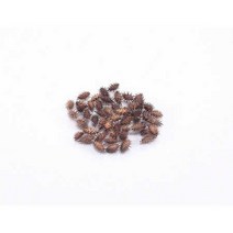 도꼬마리열매, 상세페이지 참조