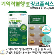 기억력 혈행 징코플러스 은행잎추출물 나이아신 아연 판토텐산 징코 식약처인증, 30정, 500mg, 1박스