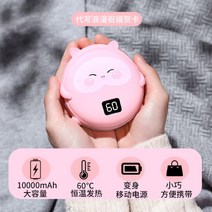 귀여운 산리오 캐릭터 핫팩 선물 시나모롤 손난로 미니 소형 난로 휴대용 USB 충전식, [드래곤 캣] 10,000밀리암페어+축하카드