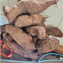 착즙 생 알칡즙 100%원액 국산 강원도 철원 알칡즙, 칡즙