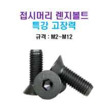 특강 고장력 접시머리 렌지볼트 M2~M12 너트 와셔, M2.5X12mm, M2.5, 1개