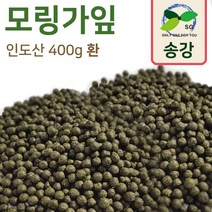 [송강] 모링가잎 씨앗 500g 인도 베타카로틴 아미노, 1개, 모링가잎 환 400g