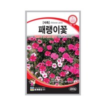 모칸도 (무배)세계 패랭이꽃 꽃씨 (400립)