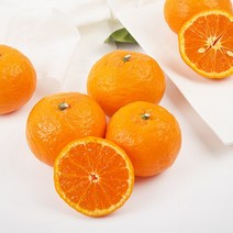 [미담] 귤로향(벌크박스), 1box, 2kg 대과 8-13과 내외 2개구매 500g증정