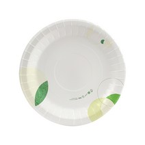 뿌리또 친환경 종이접시 23cm 10개입, 단품, 단품