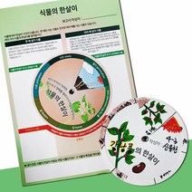 식물의 한살이 만들기 (5인) 과학 만들기 수업