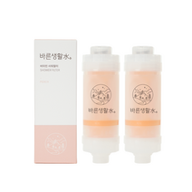 바른생활수 녹물 염소 제거 비타민 샤워필터, 2개
