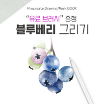 [프로크리에이트 드로잉 워크북] 블루베리 (브러시 증정)