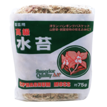 [우야플랜트샵] 고급 수태 난초전용 파종 석부작 풍란 서양란 박쥐란 75g, 1개