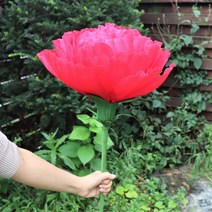 [DIY] 자이언트 카네이션 만들기 (만들기재료), 빨강, 구매