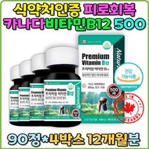 비타민B12 직장인 수험생 주부 스트레스 선물 추천 피로회복 무기력 피로회복영양제 원기회복 기력회복 캐나다산 대용량 영양제 식약처인증 자양강장제 신경재생 영양제 추천 선물 홈쇼핑 직구 부모님 번아웃증후군