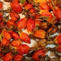 (그린내추럴) 국내산(전남 진도) (통)치자 300g