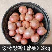 홍홍 중국식품 중국 전통양파 샬롯 모충, 3kg