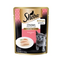 쉬바 파우치 주니어 닭고기무스 70g