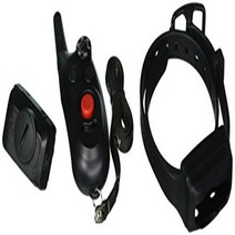 Dogtra iQ CliQ Remote Training Collar with Built-in Clicker, 1