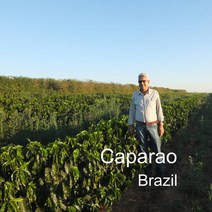 [위트러스트] 브라질 카파라오 500g Brazil 스페셜티 Caparao 커피, 홀빈