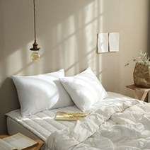 나홀로그램 국내생산 호텔식 베게커버 고급 순면 60수 사틴 50x70 2P (1+1) 3종 택1 사은품 코마40수 호텔타올 증정(색상랜덤)