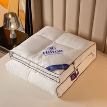 부드럽고 힐튼 5성급 호텔 오리털 이불 거위 침대 벨벳 이불 다운 이불 중대형 소형 이불 사계절 유니버셜 1.51.8m 침대, [09] 220x240m 3kg, [01] 1