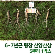 산삼어람 어버이날선물 동인발효삼 평창 산양삼 산삼 장뇌 장뇌삼 산양산삼 부모님선물 6~7년근 5뿌리 인삼/수삼/장뇌삼, 2개